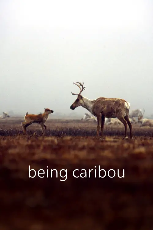 Movie poster "Being Caribou"