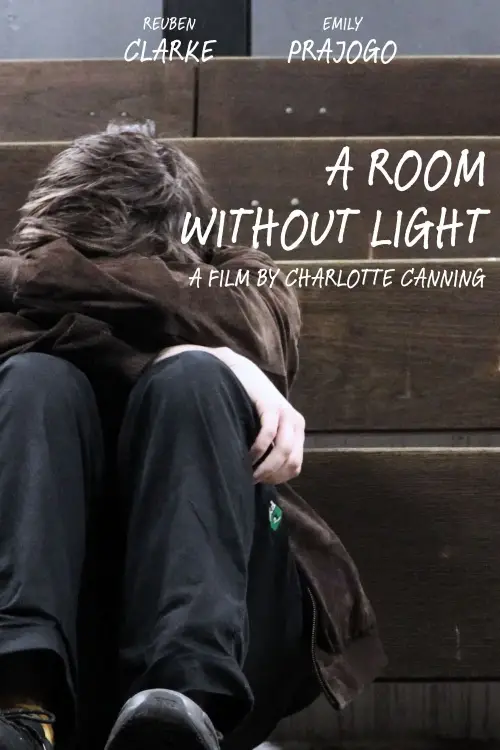 Movie poster "A Room Without Light"