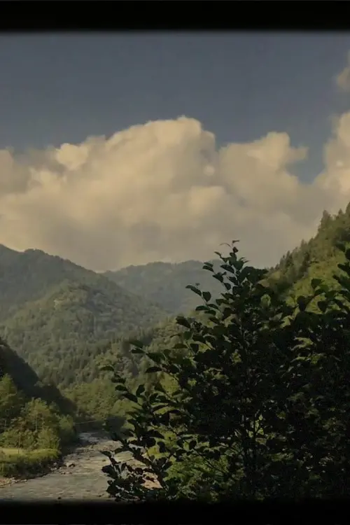 Movie poster "Before Suicide"