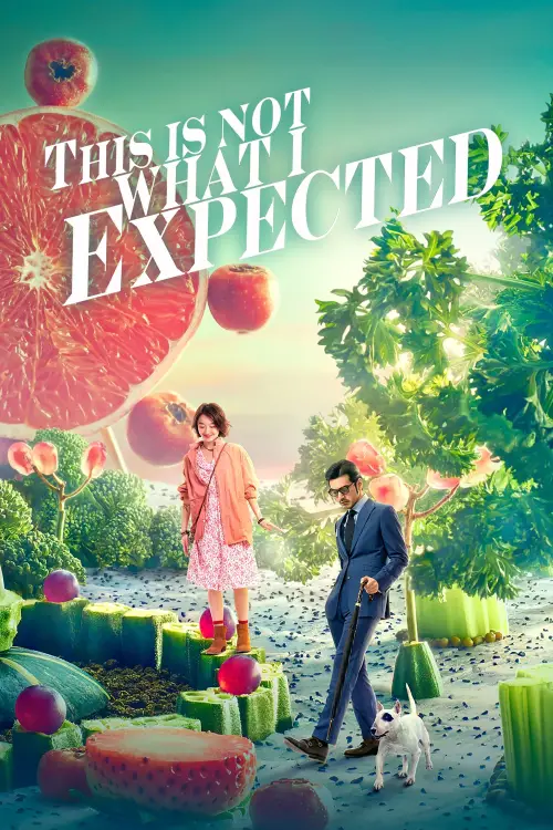 Movie poster "This Is Not What I Expected"