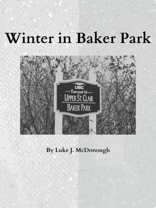 Movie poster "Winter in Baker Park"