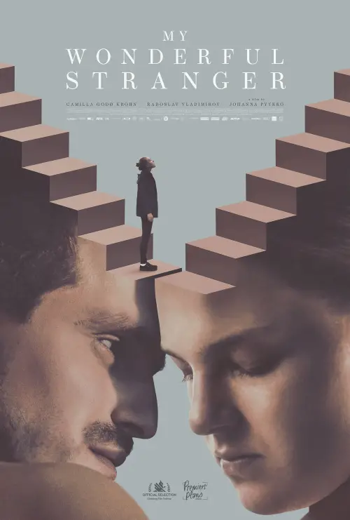 Movie poster "My Wonderful Stranger"