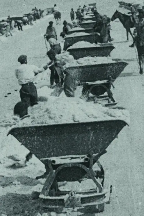 Movie poster "Industrias Argentinas - Salinas Chicas"