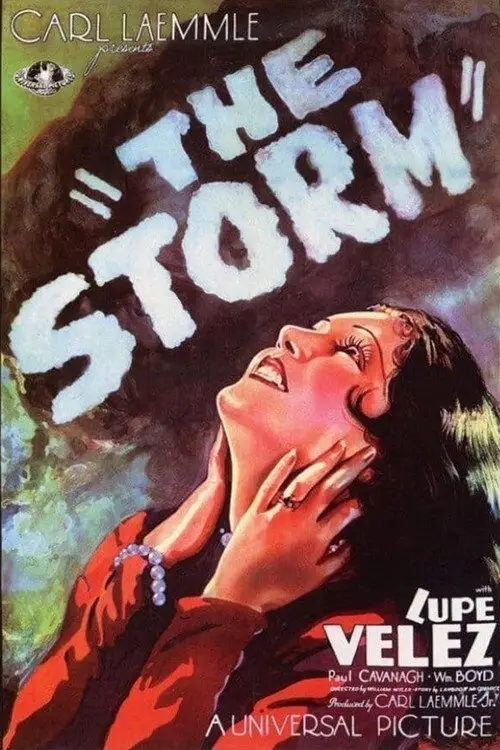 Movie poster "The Storm"