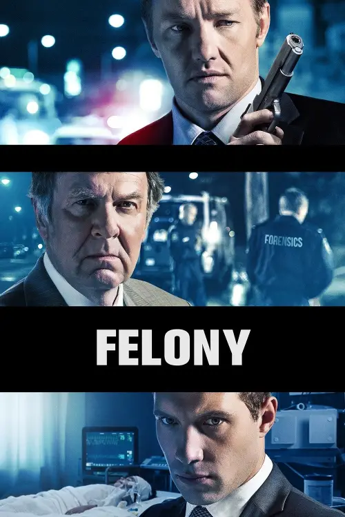 Movie poster "Felony"