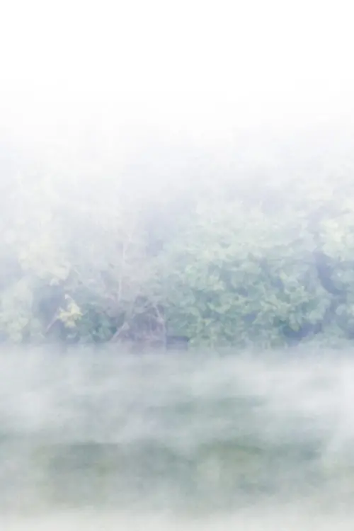 Movie poster "Si blanche soit l