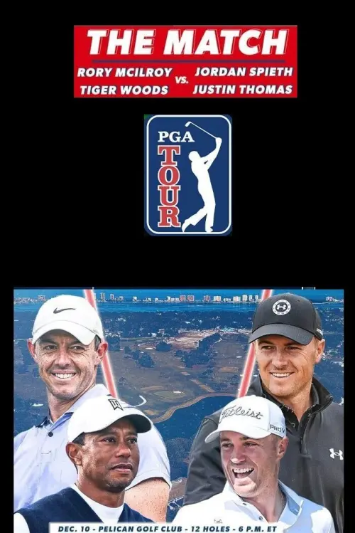 Movie poster "The Match VII"