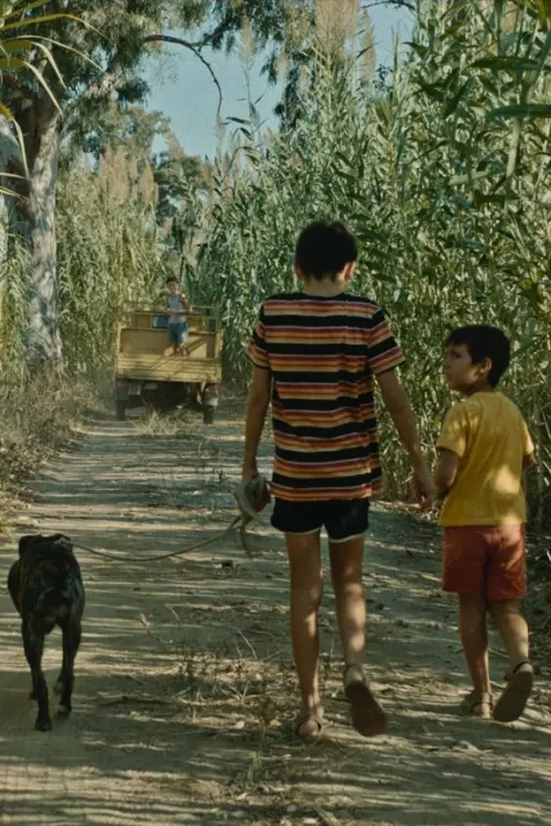 Movie poster "The Dog Is My Dog"