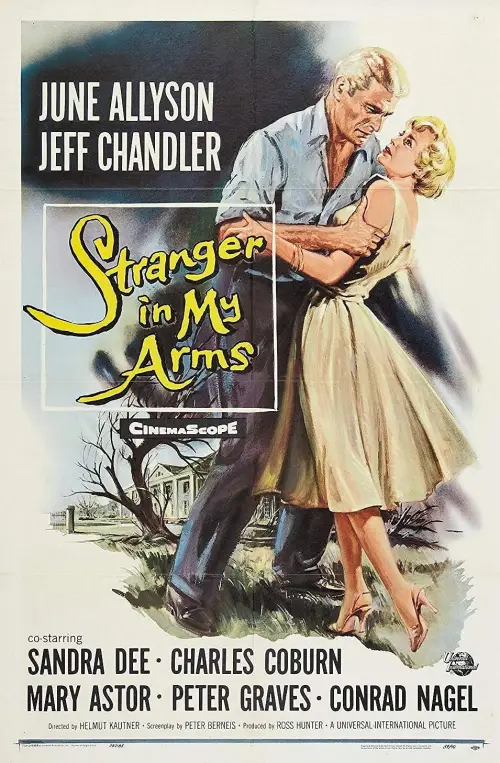 Movie poster "A Stranger in My Arms"