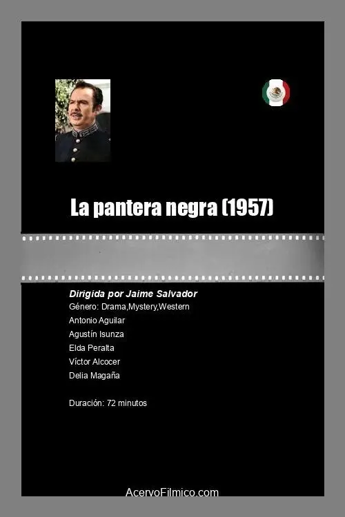 Movie poster "La pantera negra"
