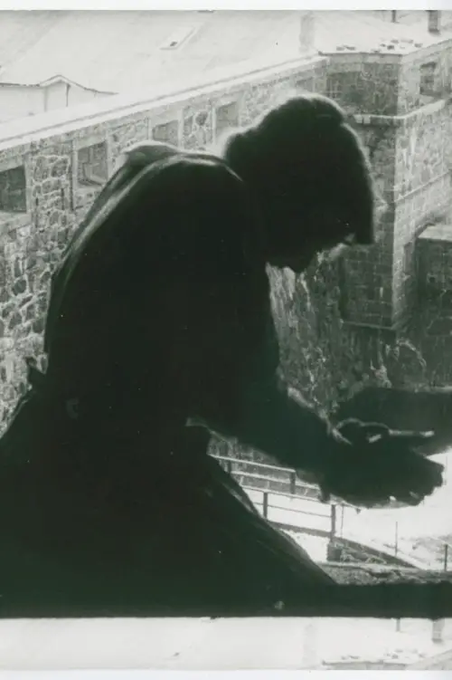 Movie poster "The Father"