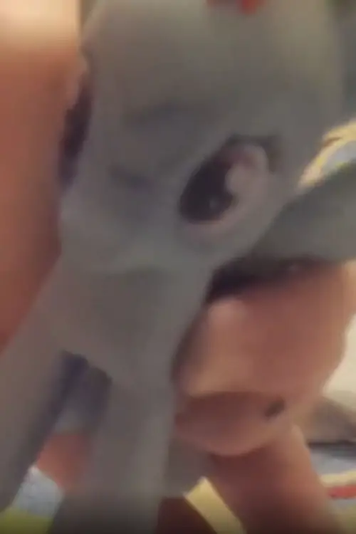 Movie poster "Travel to find yourself and Be yourself"