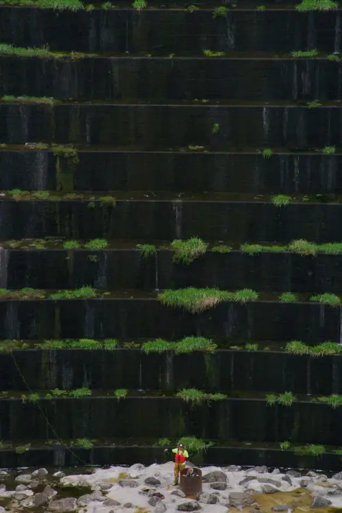 Movie poster "Murderers Bar"