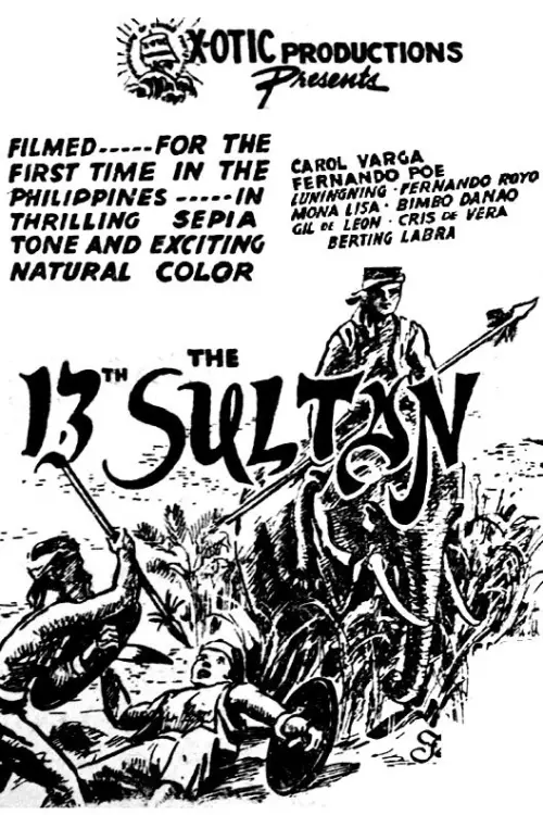 Movie poster "The 13th Sultan"