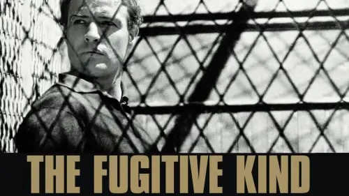 Watch film The Fugitive Kind | The Fugitive Kind (1960) - The Criterion Collection