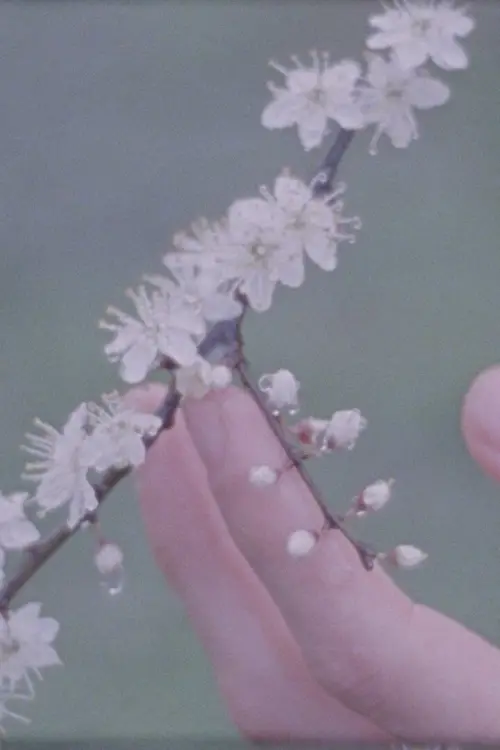 Movie poster "Trees That Come to Me in My Dreams"