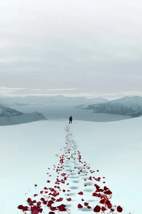 Movie poster "Let It Snow"