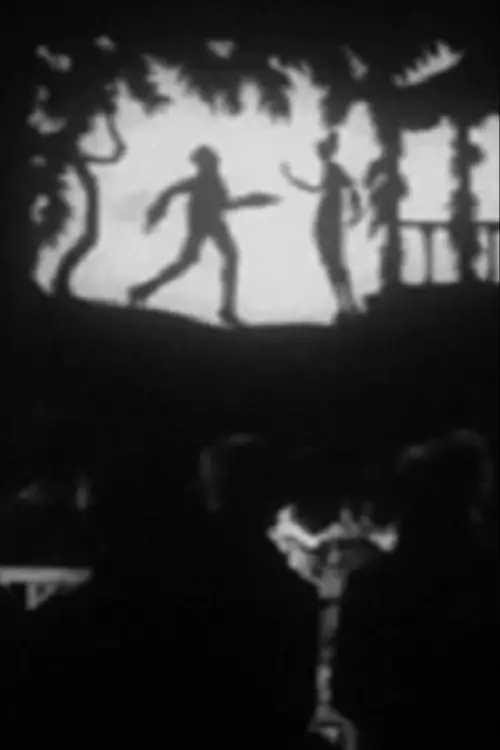 Movie poster "Der verlorene Schatten"