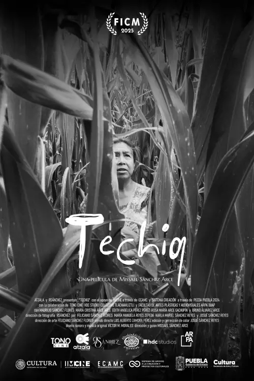 Movie poster "Techiq"