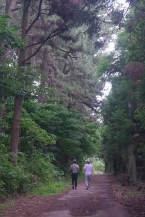 Movie poster "The Time of Jeju"