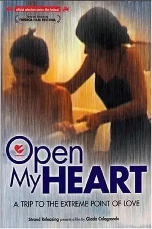Movie poster "Open My Heart"