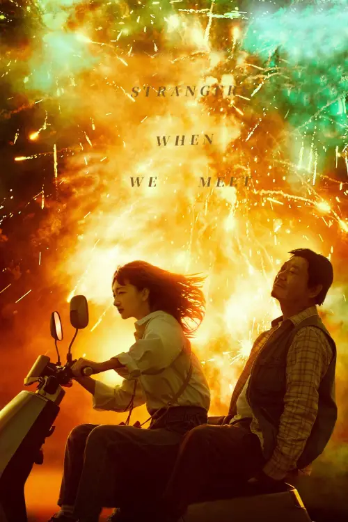 Movie poster "Strangers When We Meet"