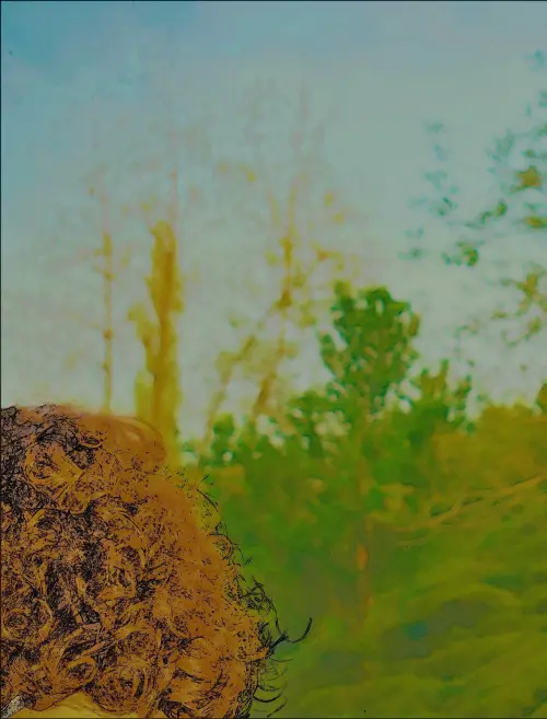 Movie poster "The Tavern of Ruin"