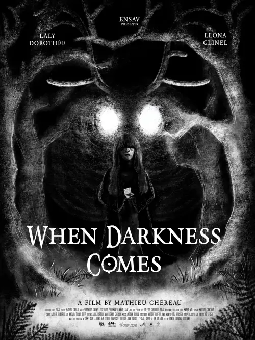 Movie poster "When Darkness Comes"