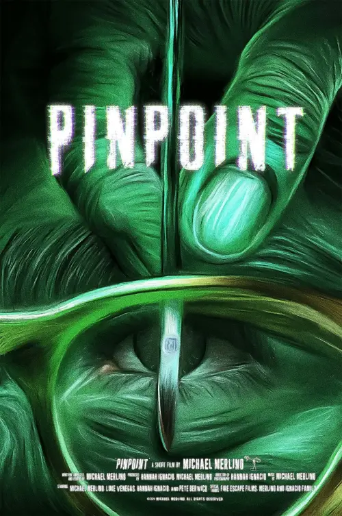 Movie poster "PINPOINT"