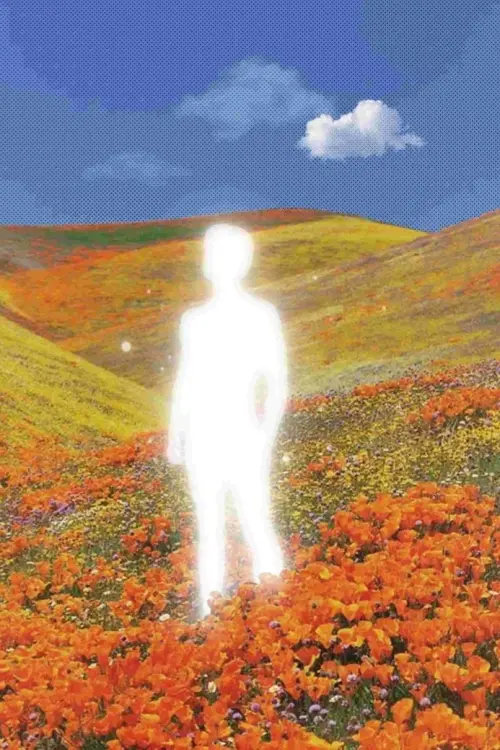 Movie poster "Newton