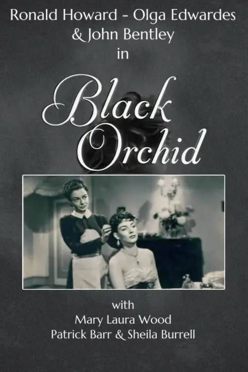 Movie poster "Black Orchid"