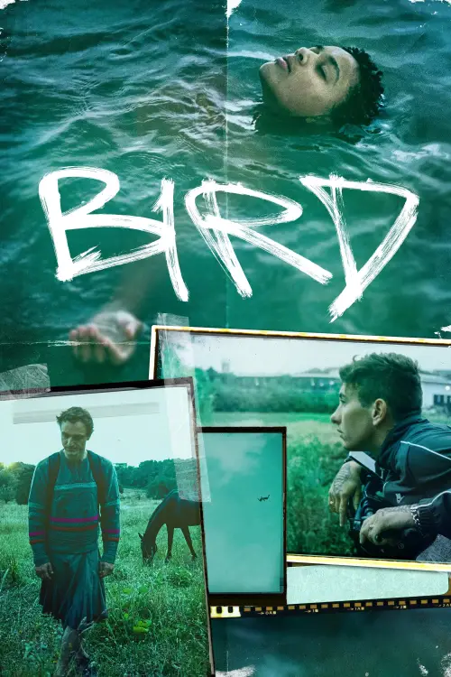 Movie poster "Bird"