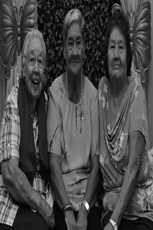 Movie poster "Three Parallel Reflections on the Past"