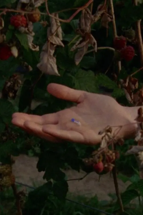 Movie poster "The Garden Had Not Disappeared"