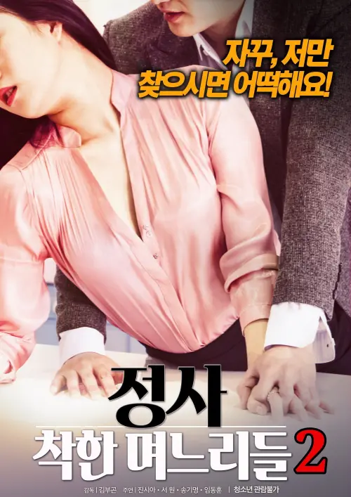 Movie poster "An Affair: Kind Daughters-in-law 2"