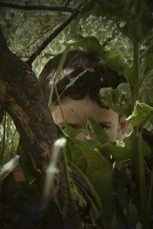 Movie poster "Fogo Abismo"