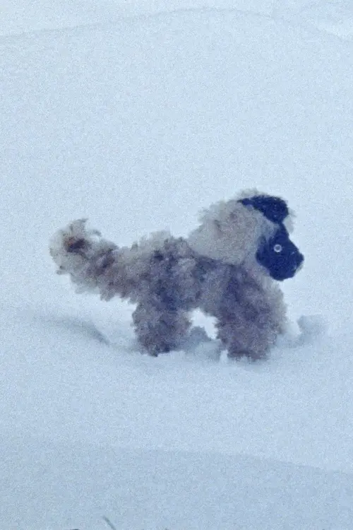 Movie poster "February Answers"