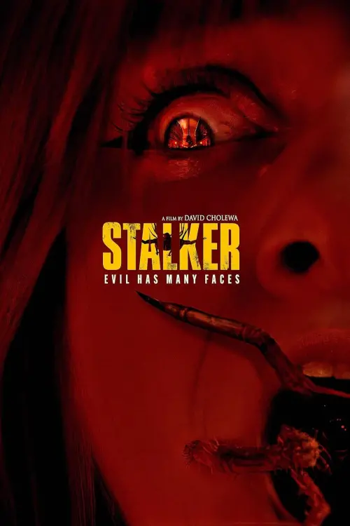 Movie poster "Stalker"