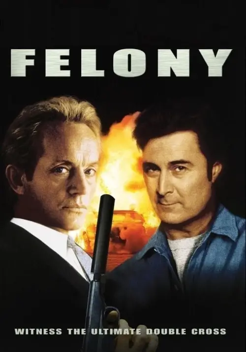 Movie poster "Felony"