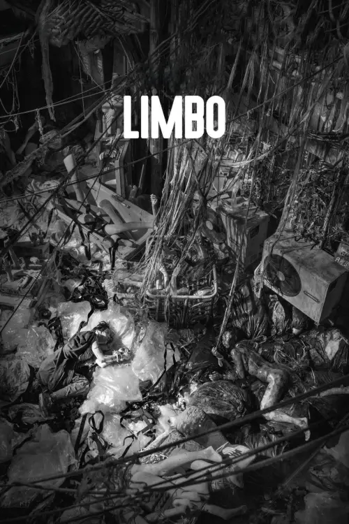 Movie poster "Limbo"