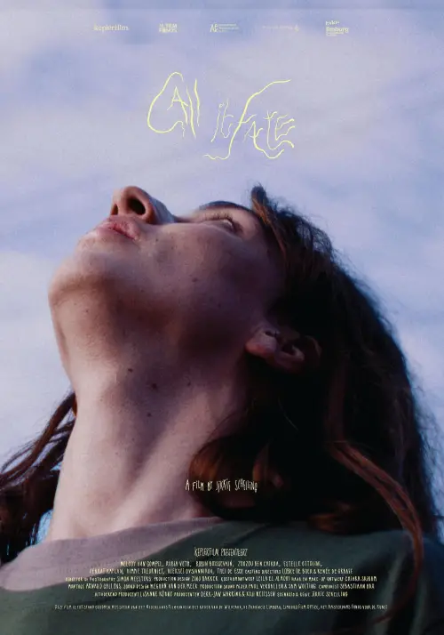 Movie poster "Call it Fate"