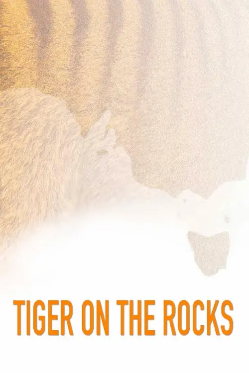 Movie poster "Tiger on the Rocks"