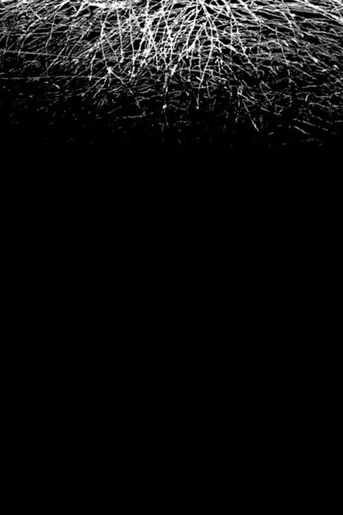 Movie poster "For When I Think, There is This Heaviness That I Would Rather You Not Carry"