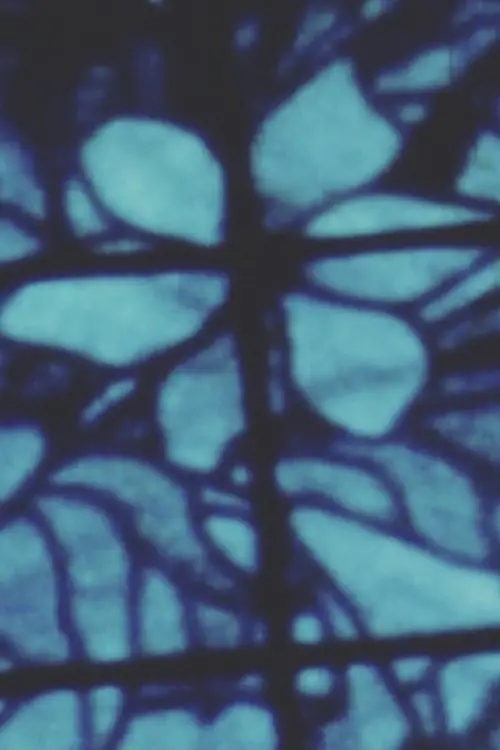 Movie poster "Song 17"