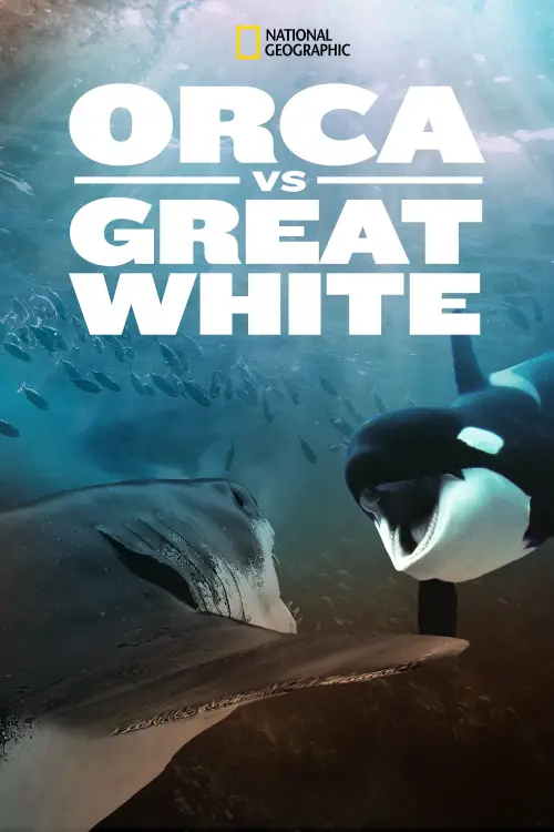 Movie poster "Orca Vs. Great White"