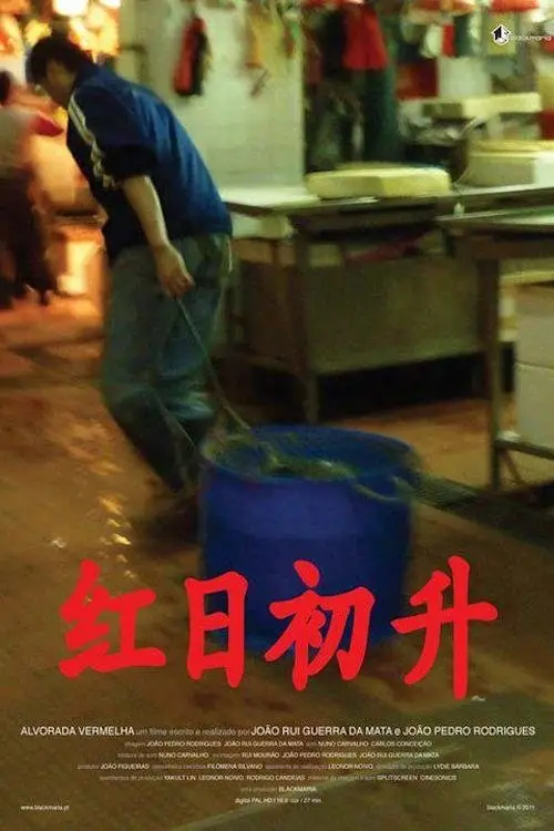 Movie poster "Red Dawn"