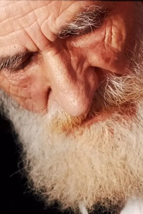 Movie poster "Holdsworth"