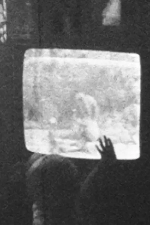 Movie poster "Holidays"