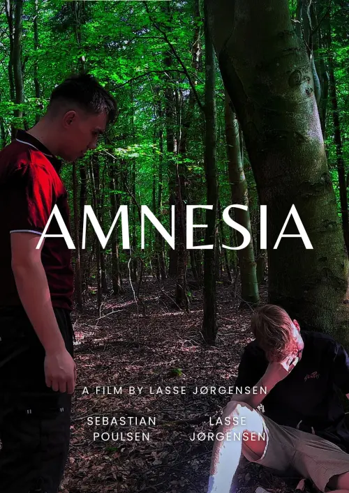 Movie poster "Amnesia"