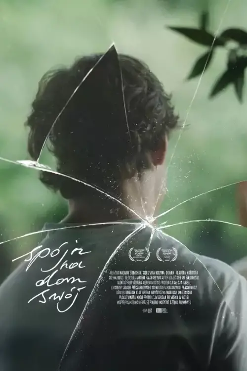 Movie poster "Look Homeward"